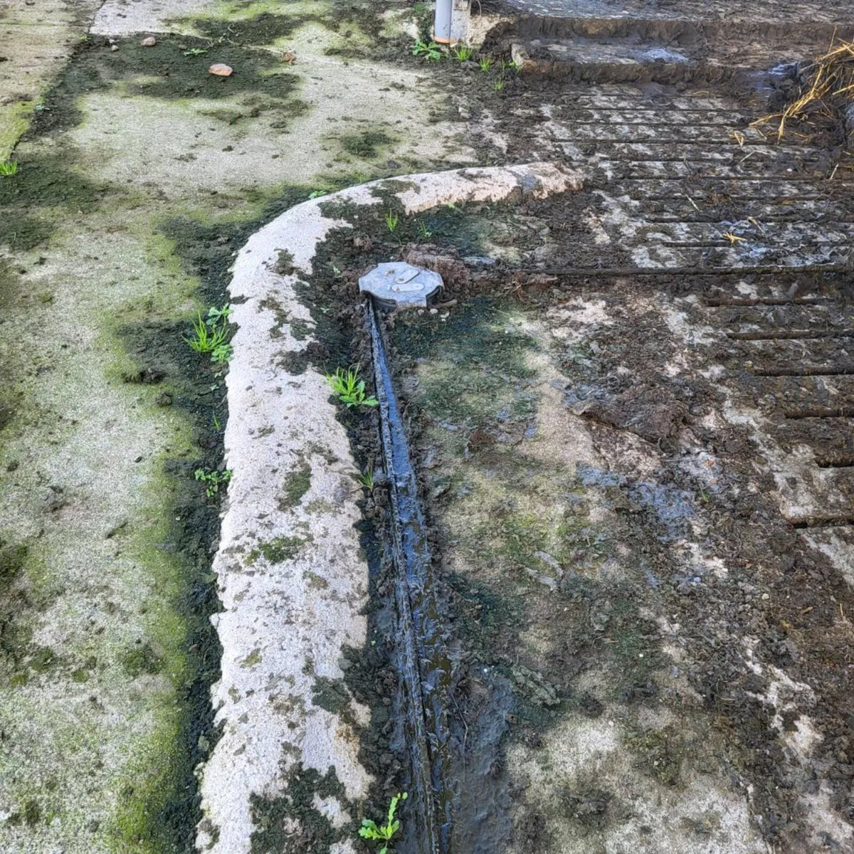 Alfco rope scraper - Image 2