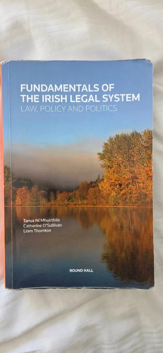 Fundamentals of the Irish Legal System - Image 1