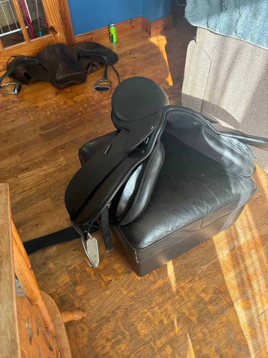 Saddles and Horse Blankets - Image 3
