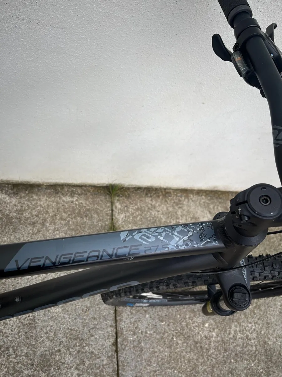Carrera vengeance - Image 4