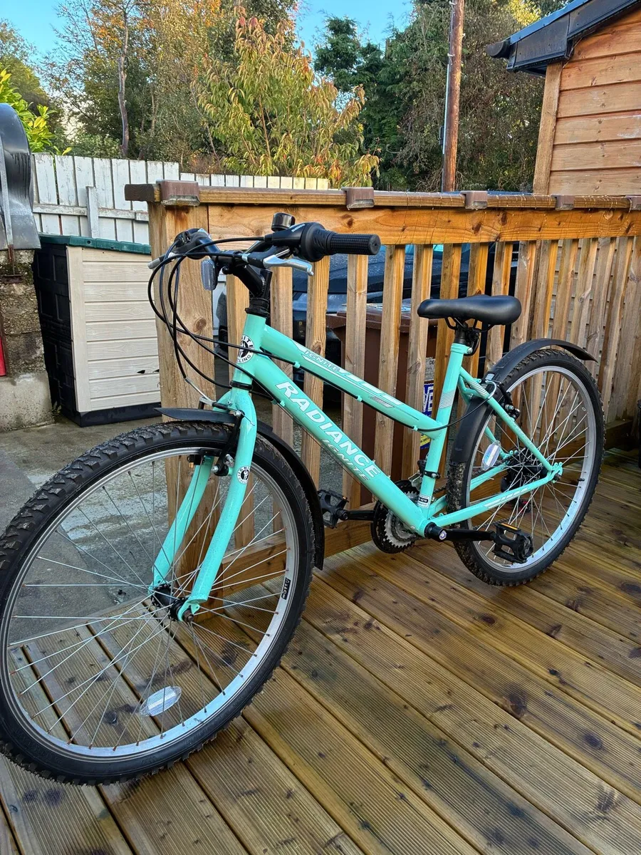 26 inch bike - Image 1