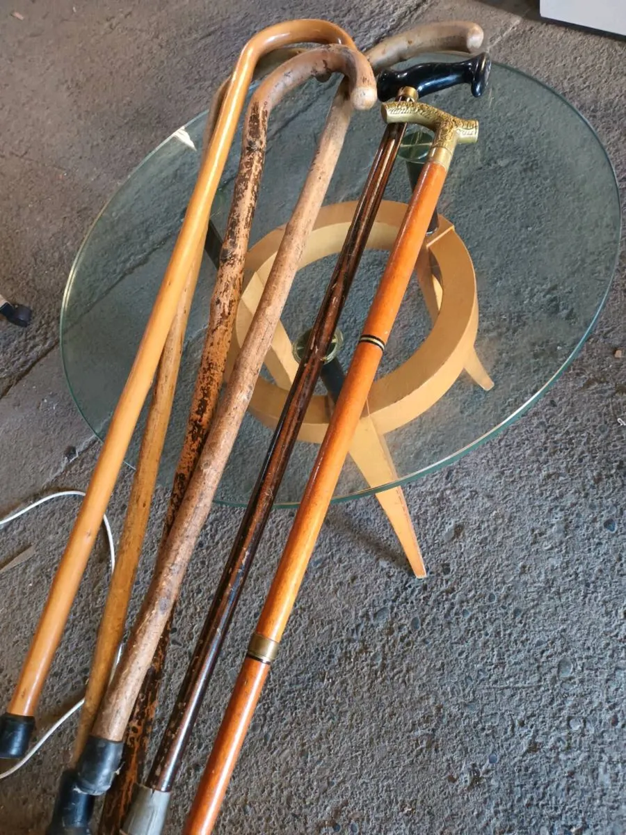 Walking Sticks - Image 1