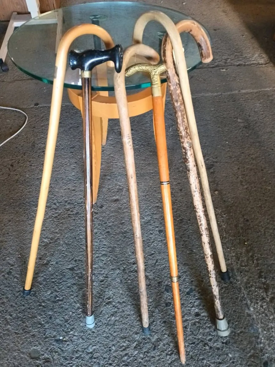 Walking Sticks - Image 2