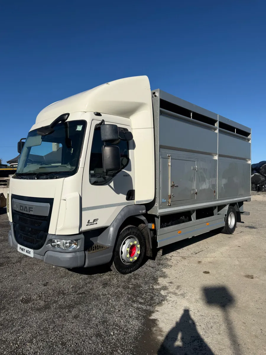 Daf cattle truck - Image 2
