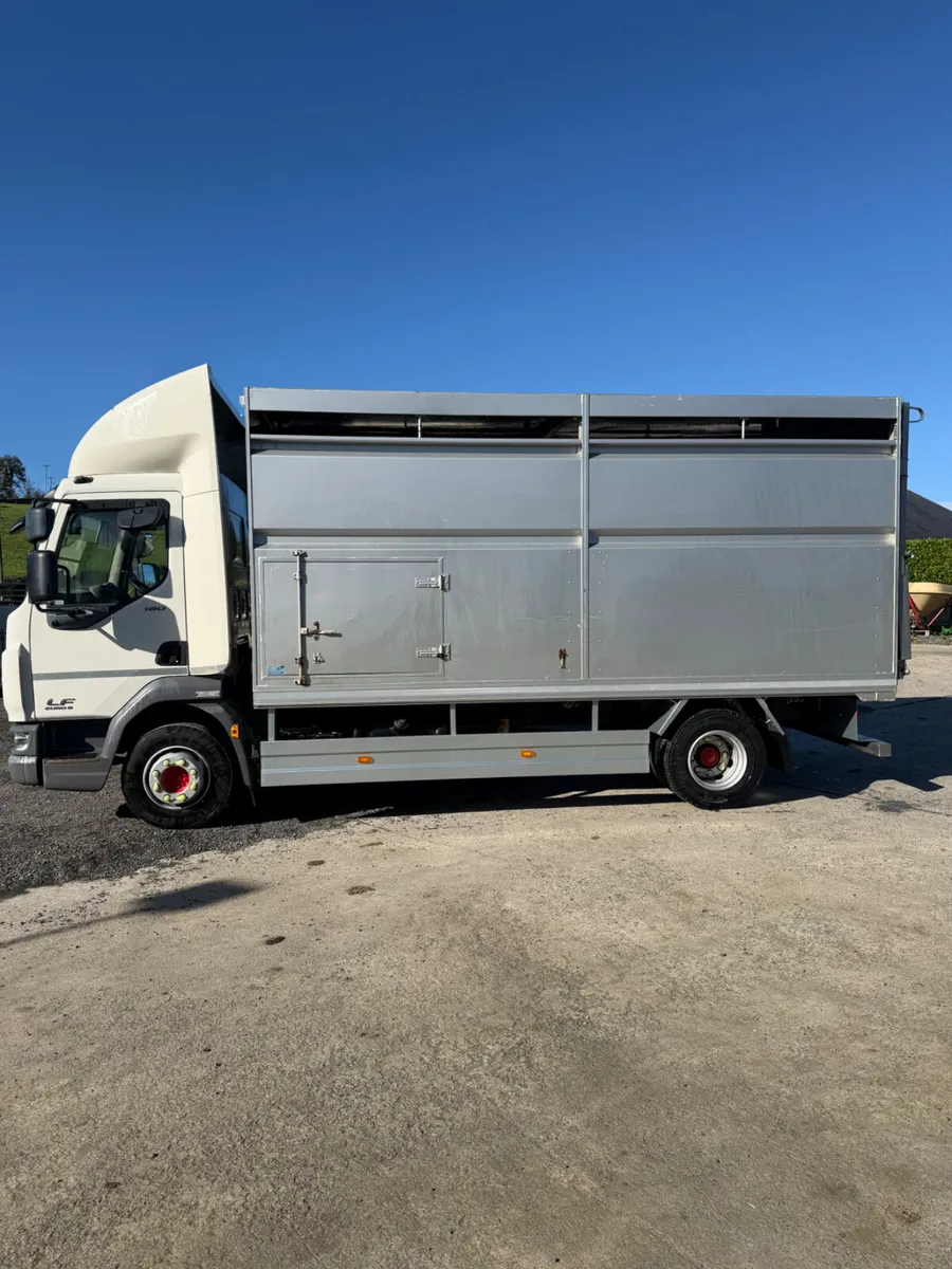 Daf cattle truck - Image 3