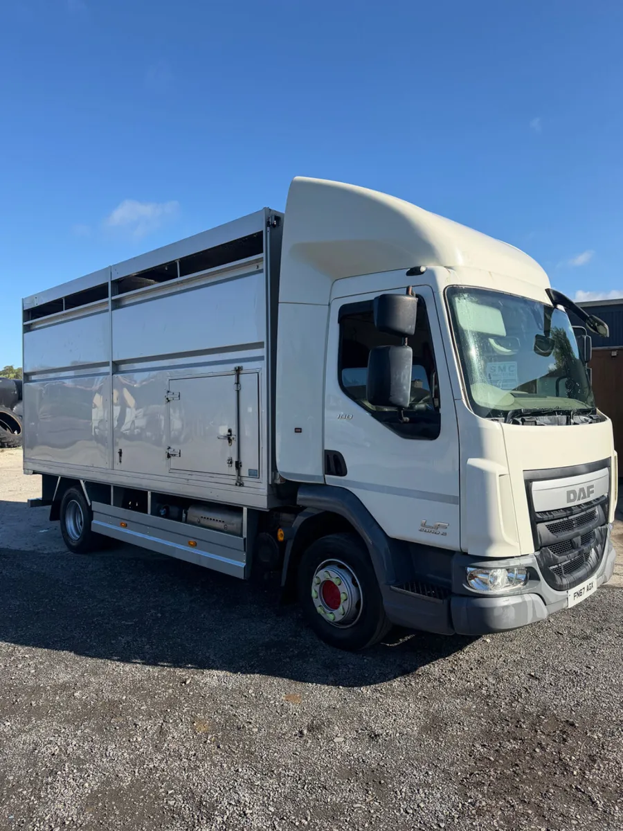 Daf cattle truck - Image 1