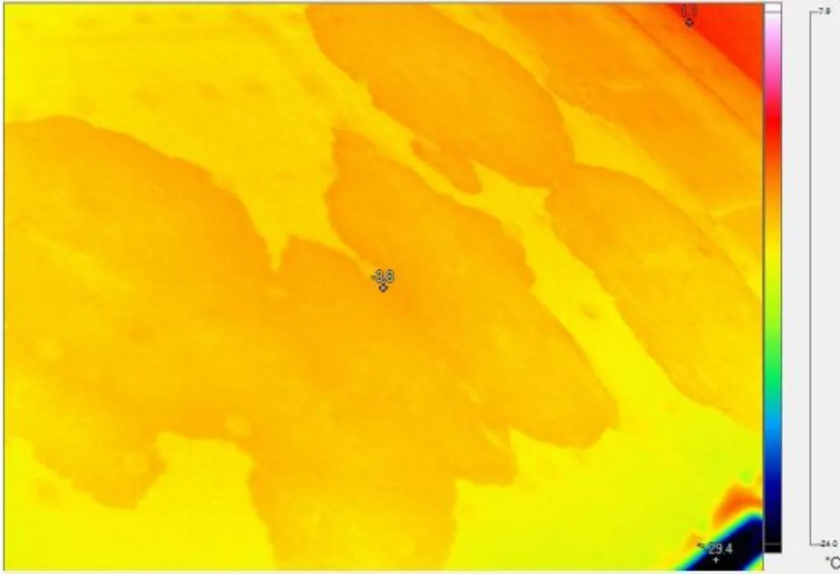 Thermal Imaging | Heat Loss & Insulation Survey - Image 2