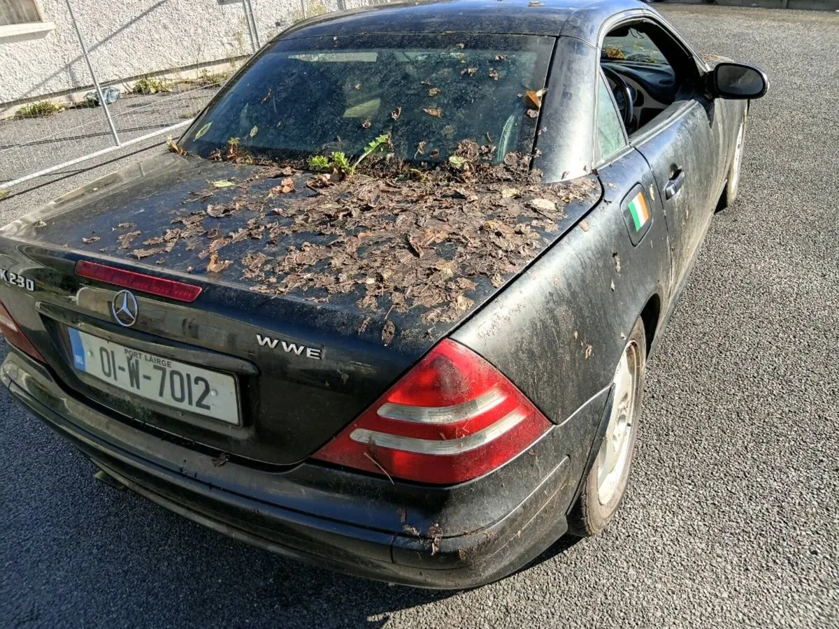 Mercedes-Benz vintage fell offended tomorrow - Image 4
