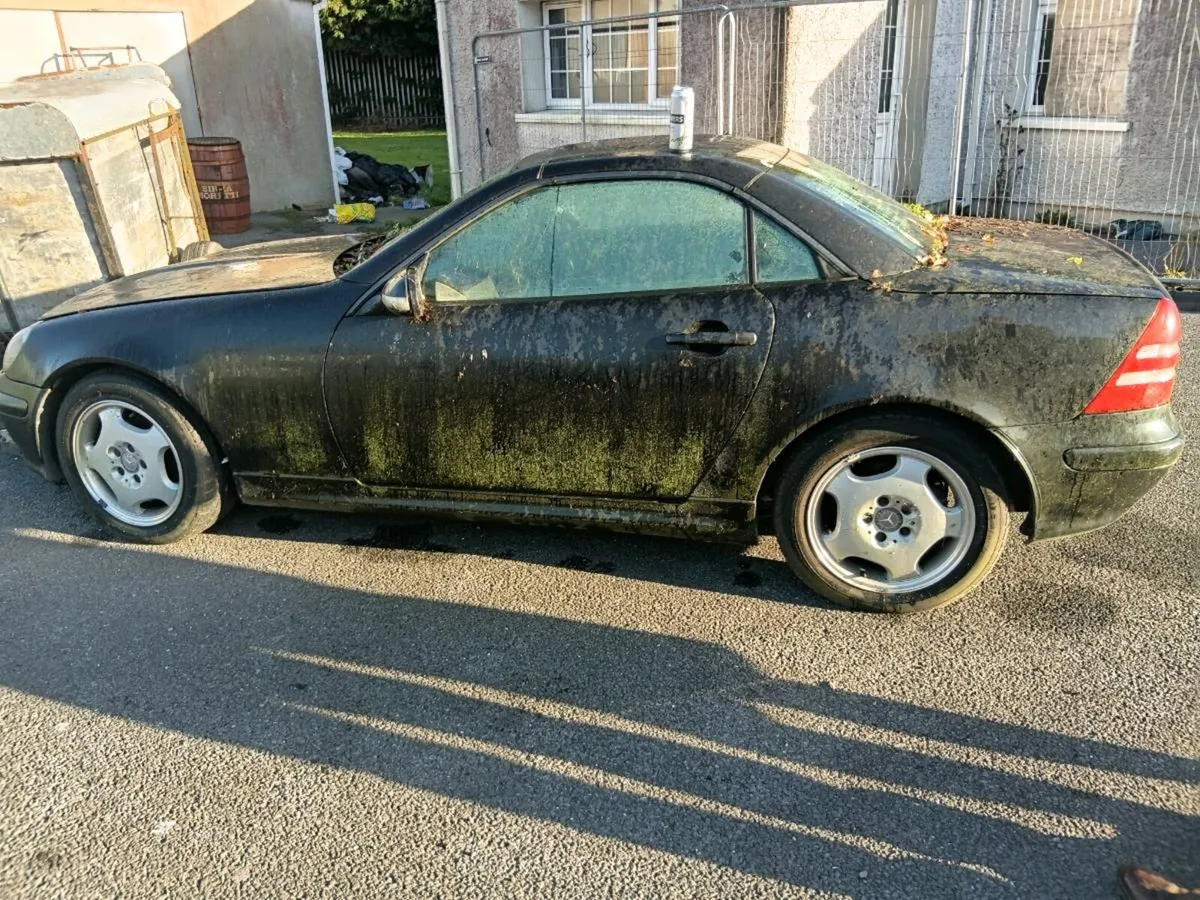 Mercedes-Benz vintage fell offended tomorrow - Image 2