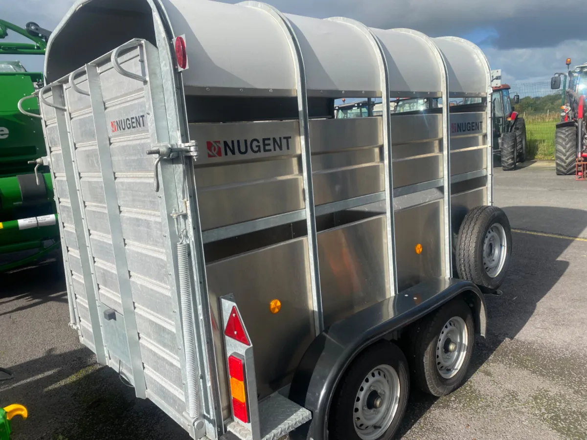 Nugent Trailer 8X5 Box - Image 4