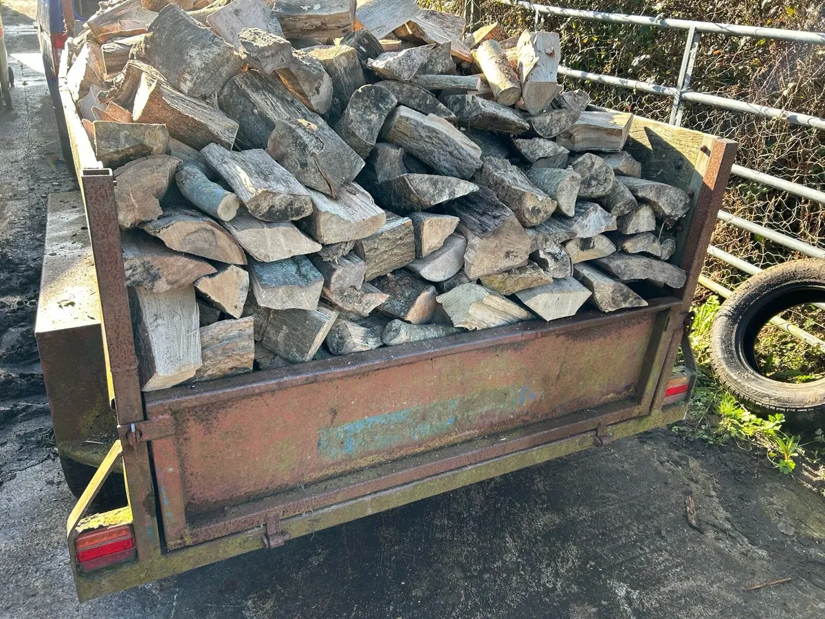 Firewood hardwood - Image 1