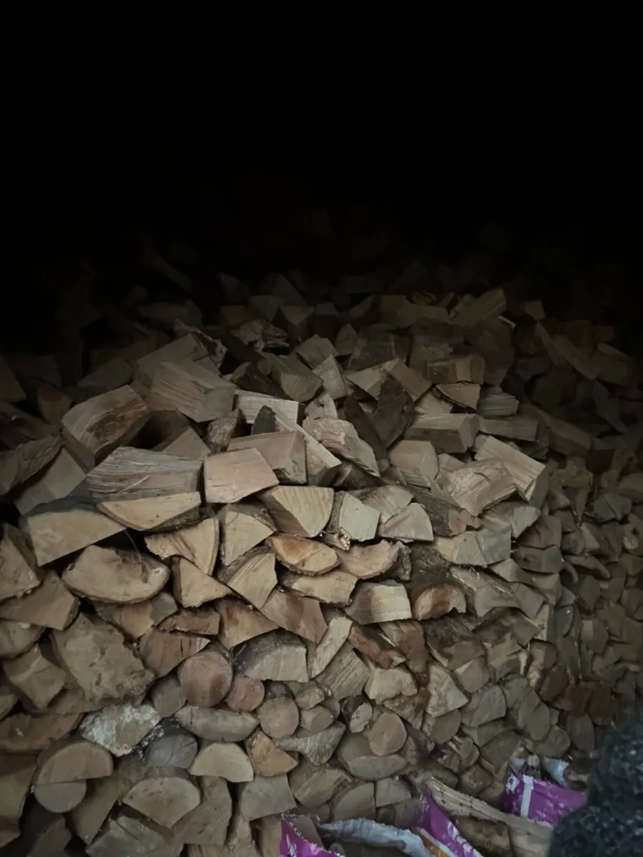 Firewood hardwood - Image 4