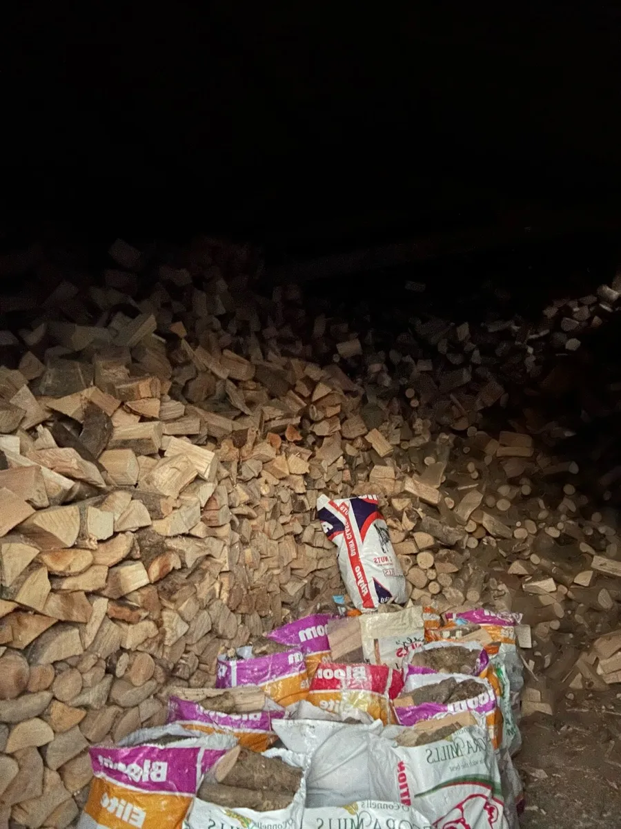 Firewood hardwood - Image 3