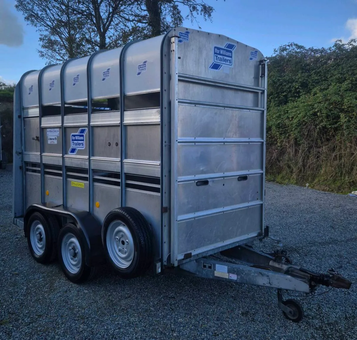 Ifor williams 10 x 5 high roof Horse/cattle - Image 1