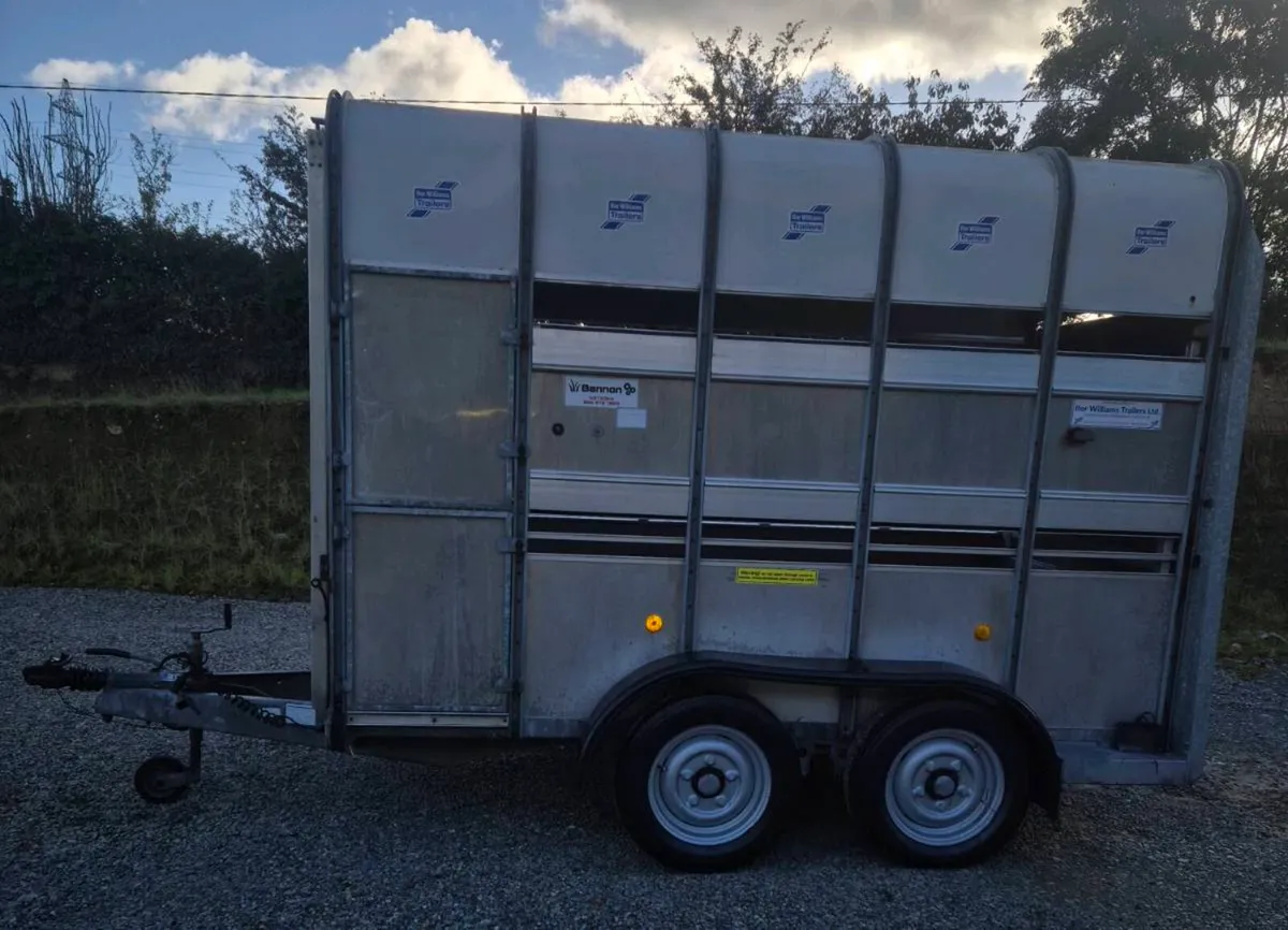Ifor williams 10 x 5 high roof Horse/cattle - Image 4