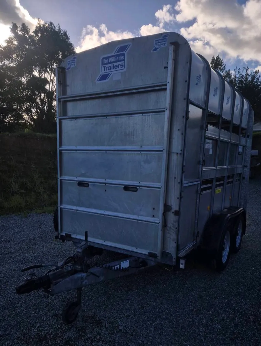 Ifor williams 10 x 5 high roof Horse/cattle - Image 3