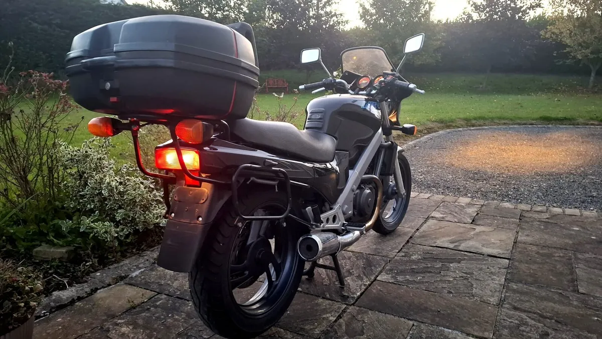 HONDA NTV 650 1995 - Image 4