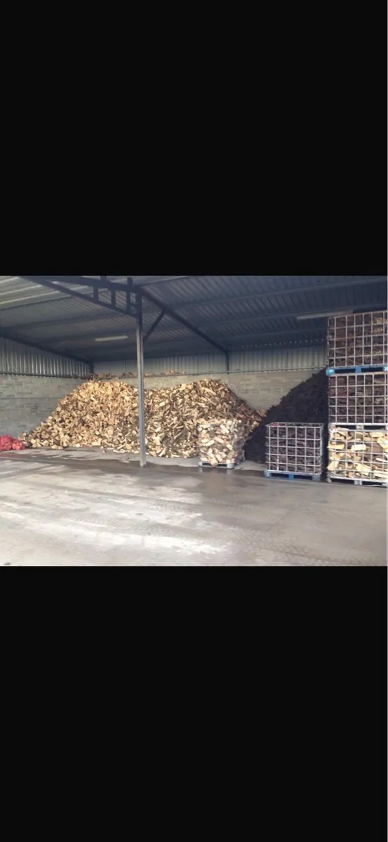 Firewood - Image 3