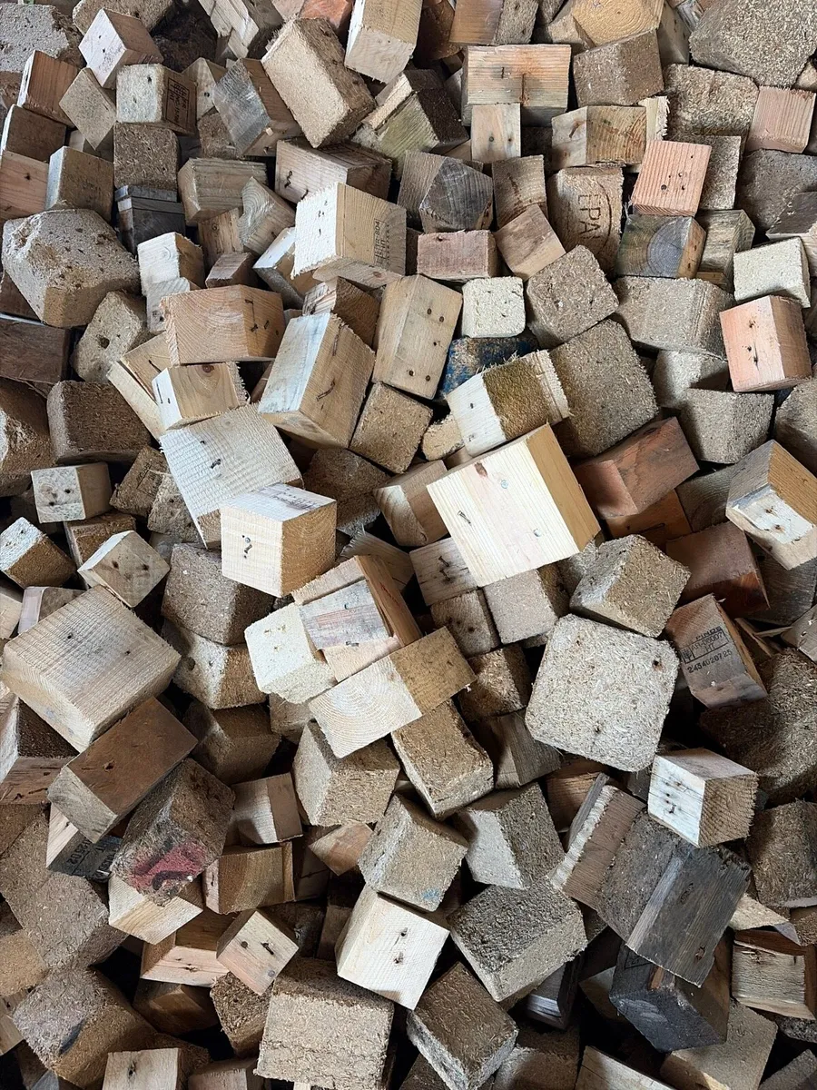 Kindling - Image 3