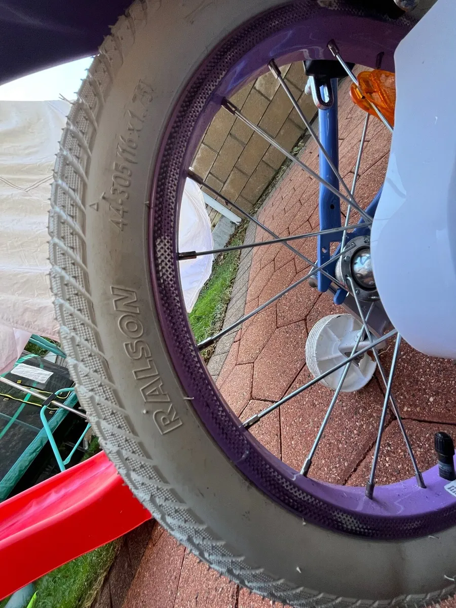 Frozen bike - Image 4