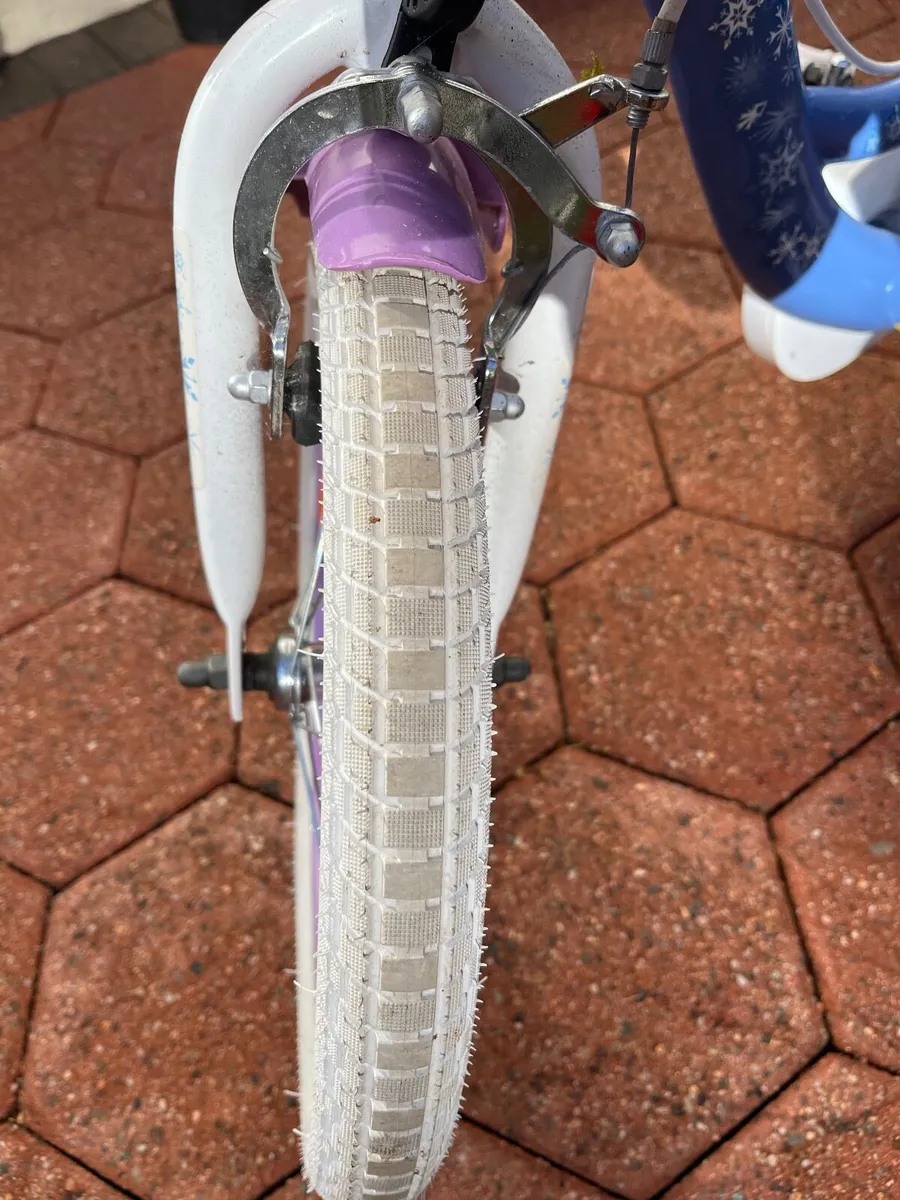 Frozen bike - Image 2