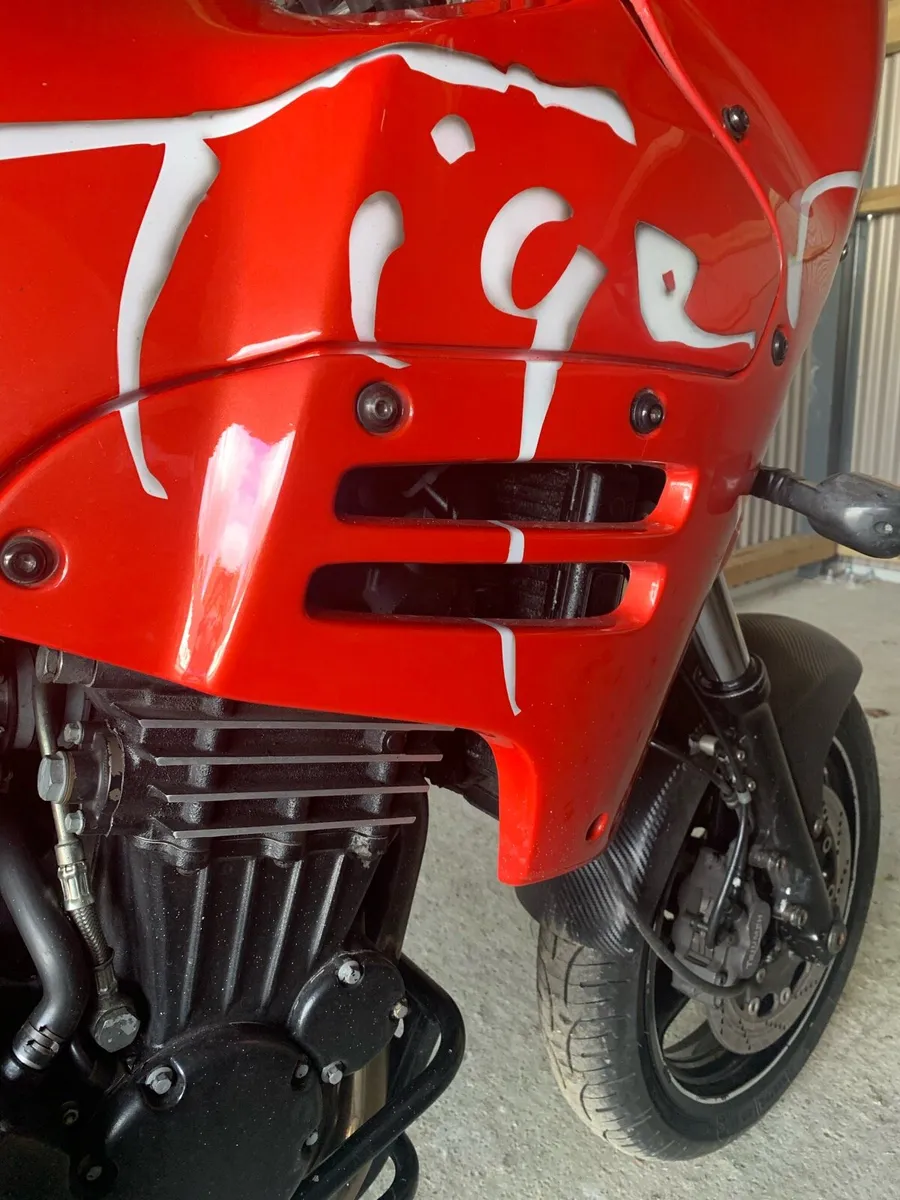 Triumph tiger 900 - Image 4