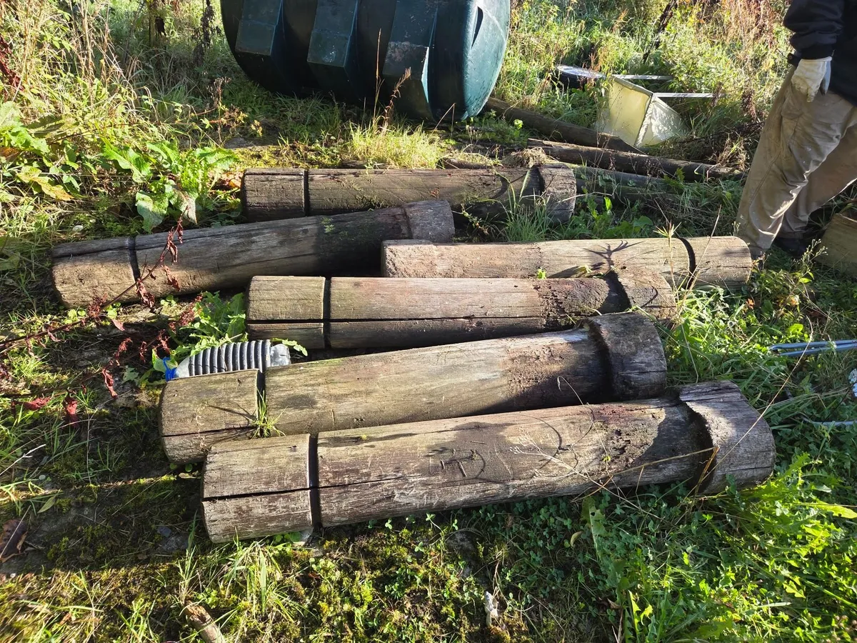 Wooden pillers - Image 1