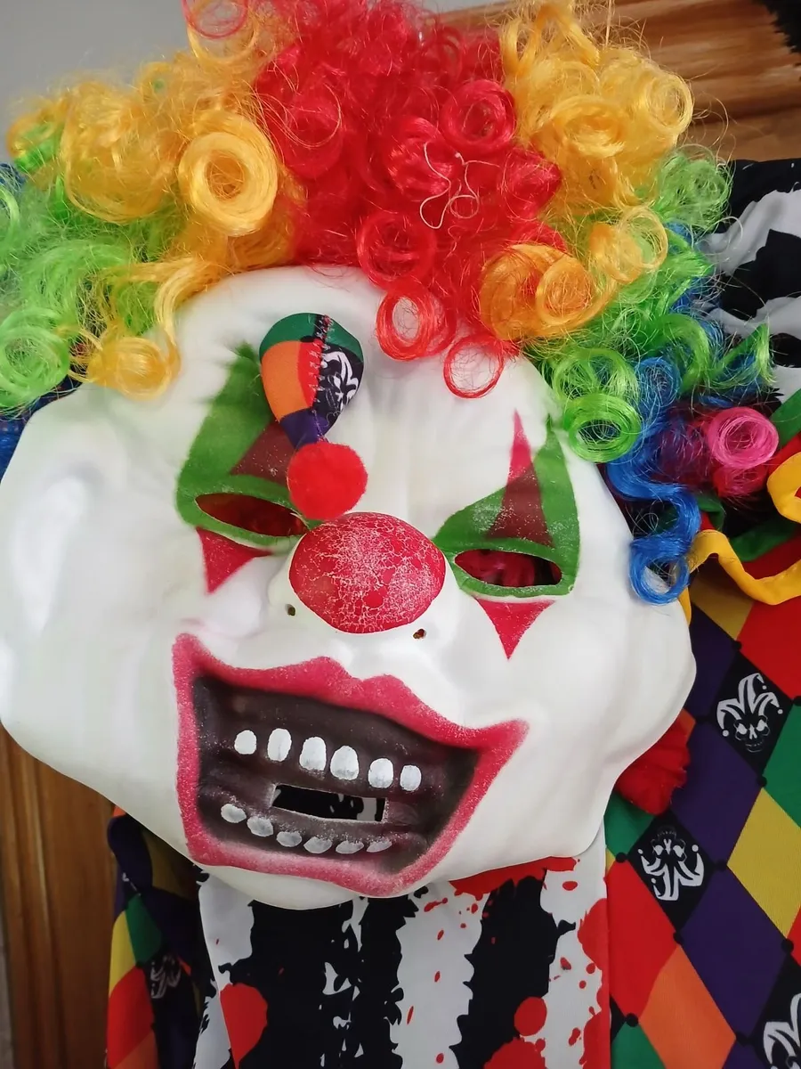 Halloween costume  7-8 years - Image 3