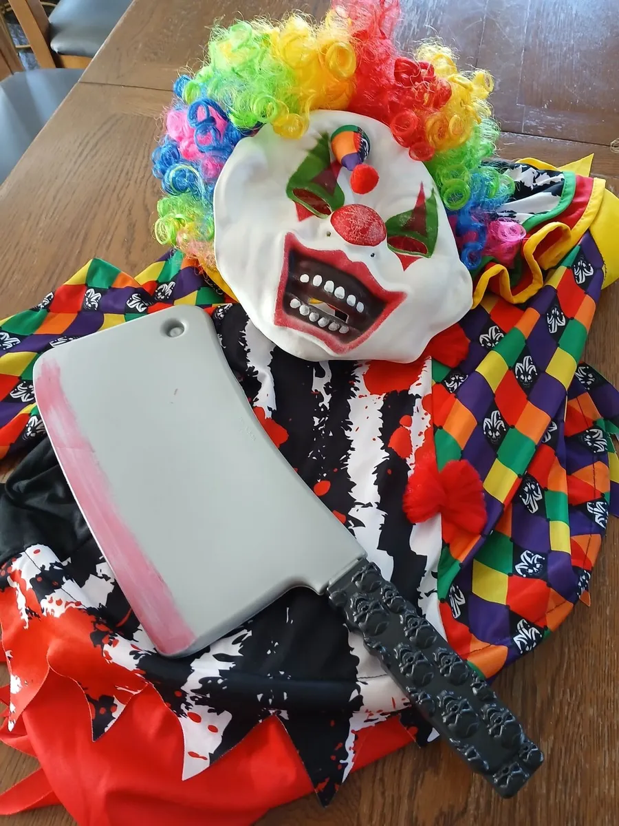 Halloween costume  7-8 years - Image 1