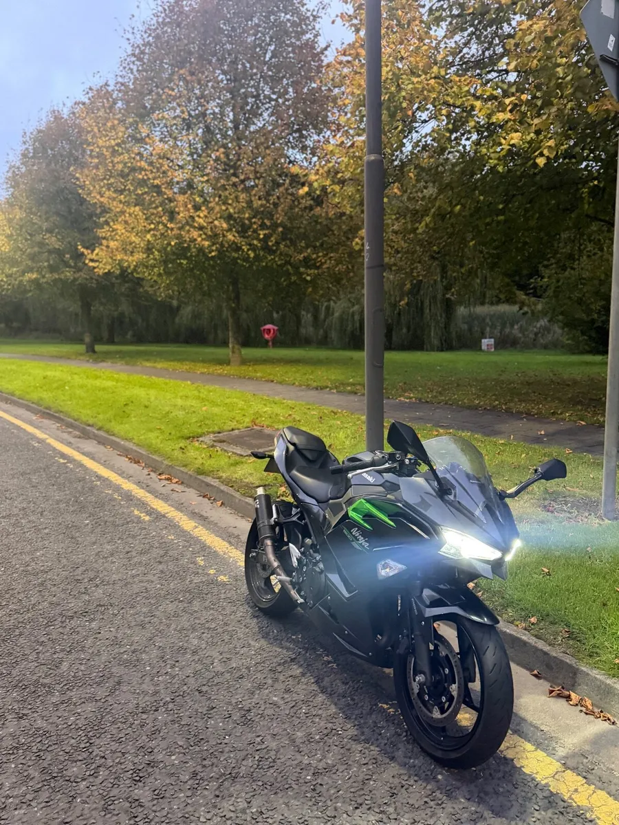 Kawasaki Ninja 2025 - Image 4