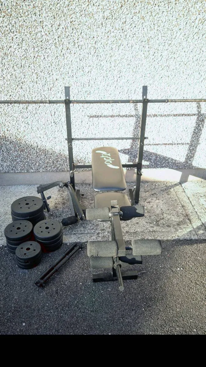 Bench barbell dumbbells and weights - Image 1