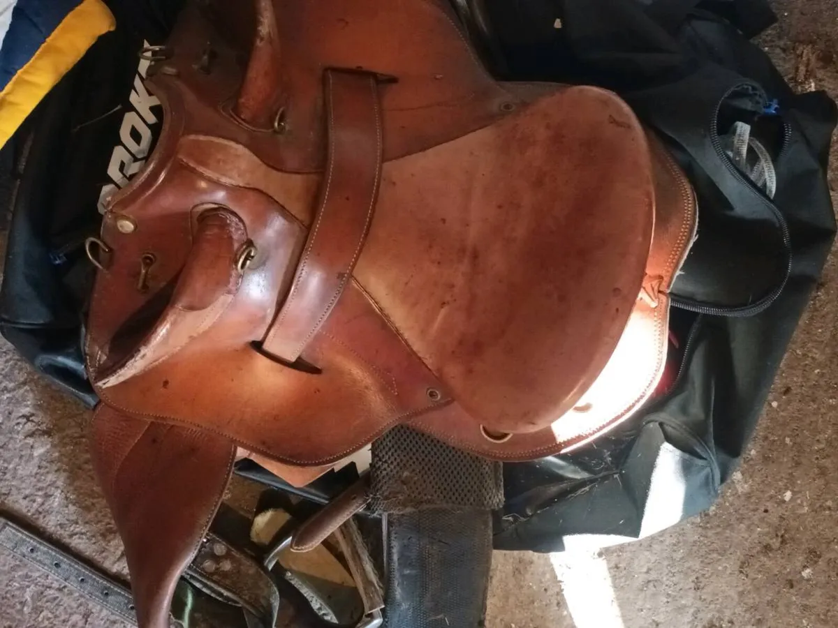 Australian stock saddle - Image 2