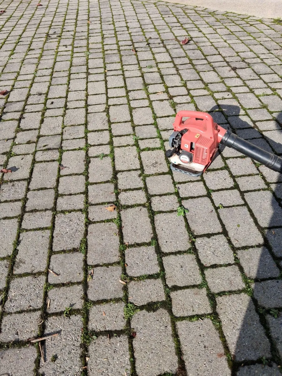 Leaf Blower - Image 1