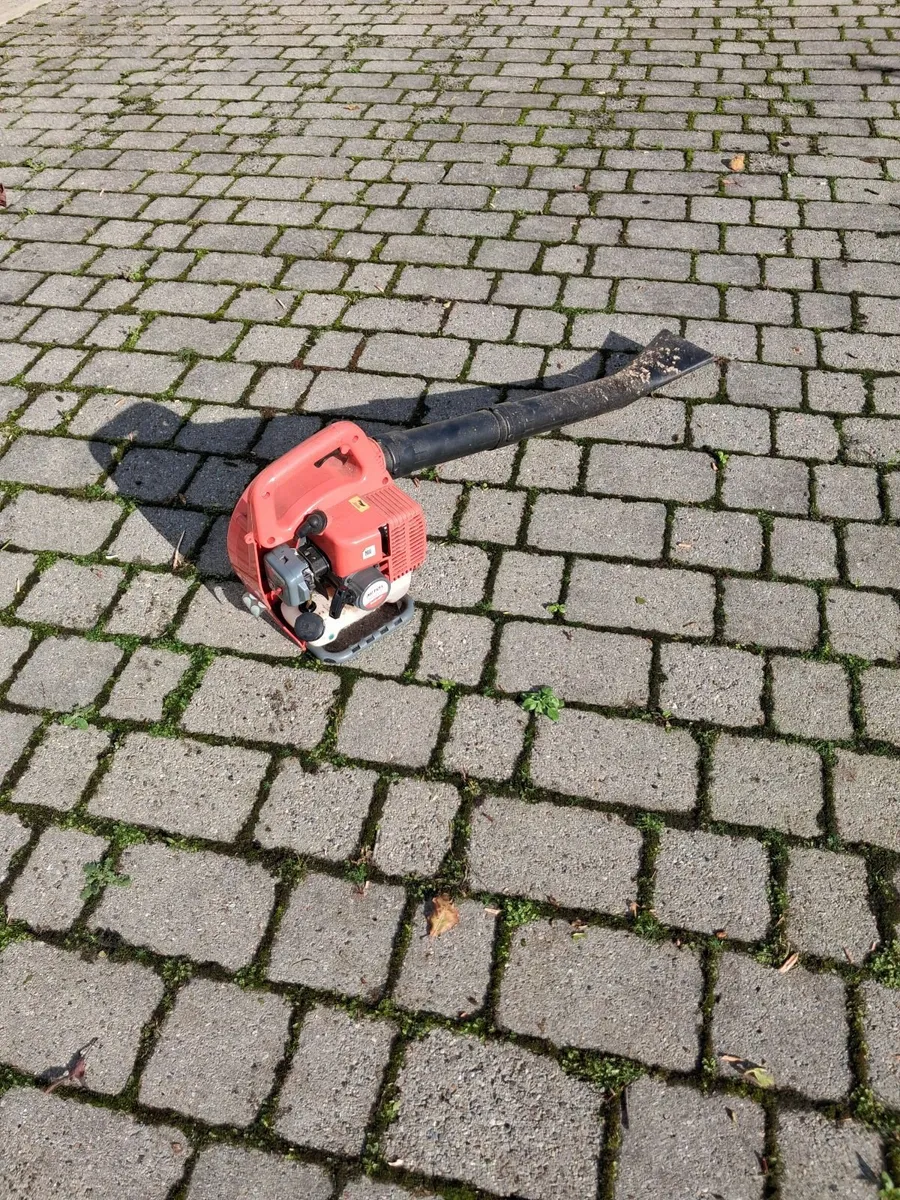 Leaf Blower - Image 2