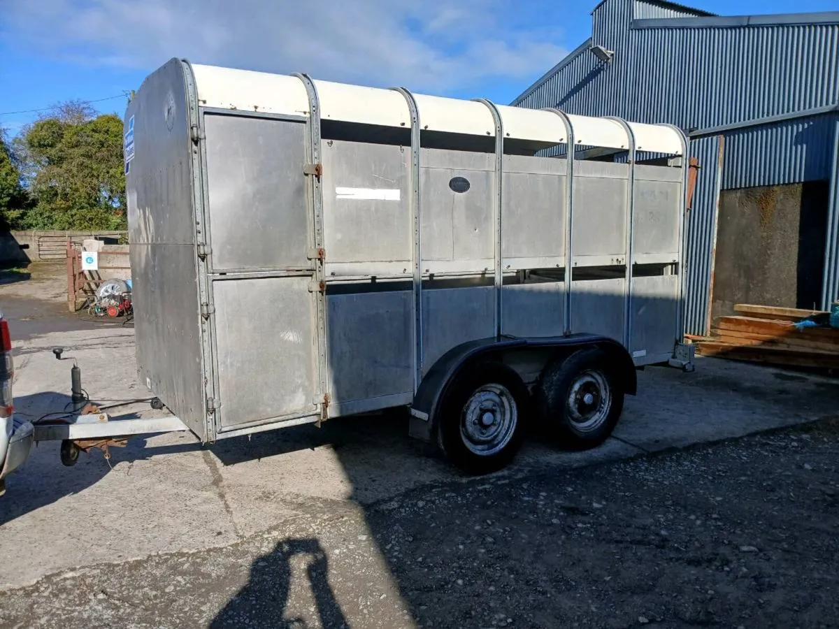 IFVOR WILLIAMS CATTLE TRAILER - Image 2