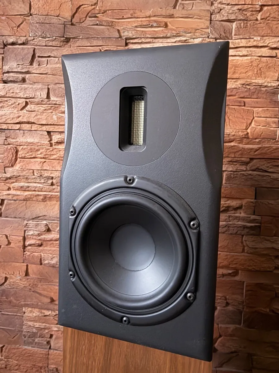 NEAT Acoustics Ekstra - Image 3