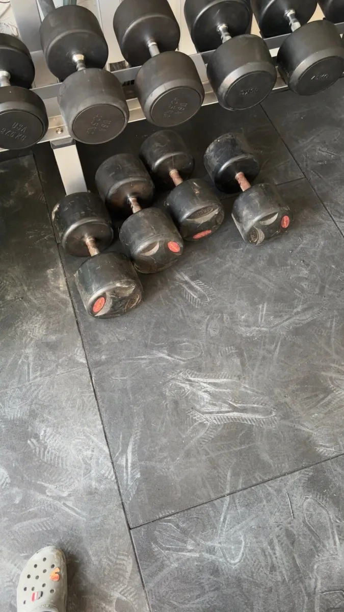 Round dumbbells and bench - Image 1