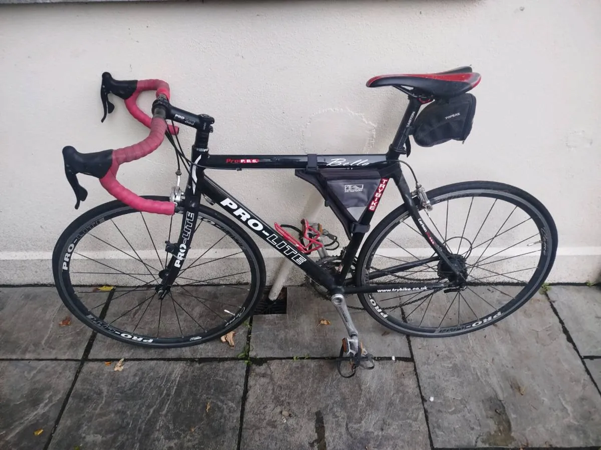 Pro Lite Racing Bike