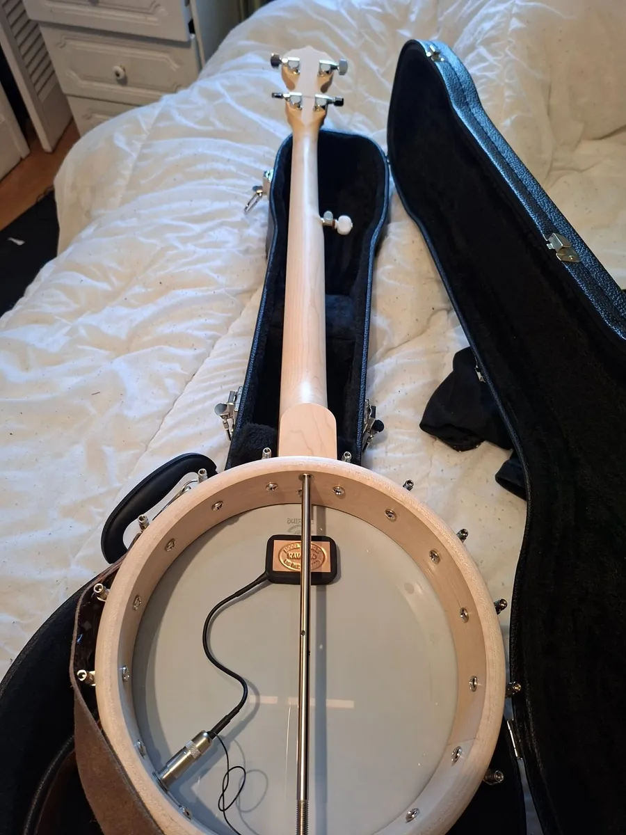 Deering A/E Goodtime with pickup with case and str - Image 3