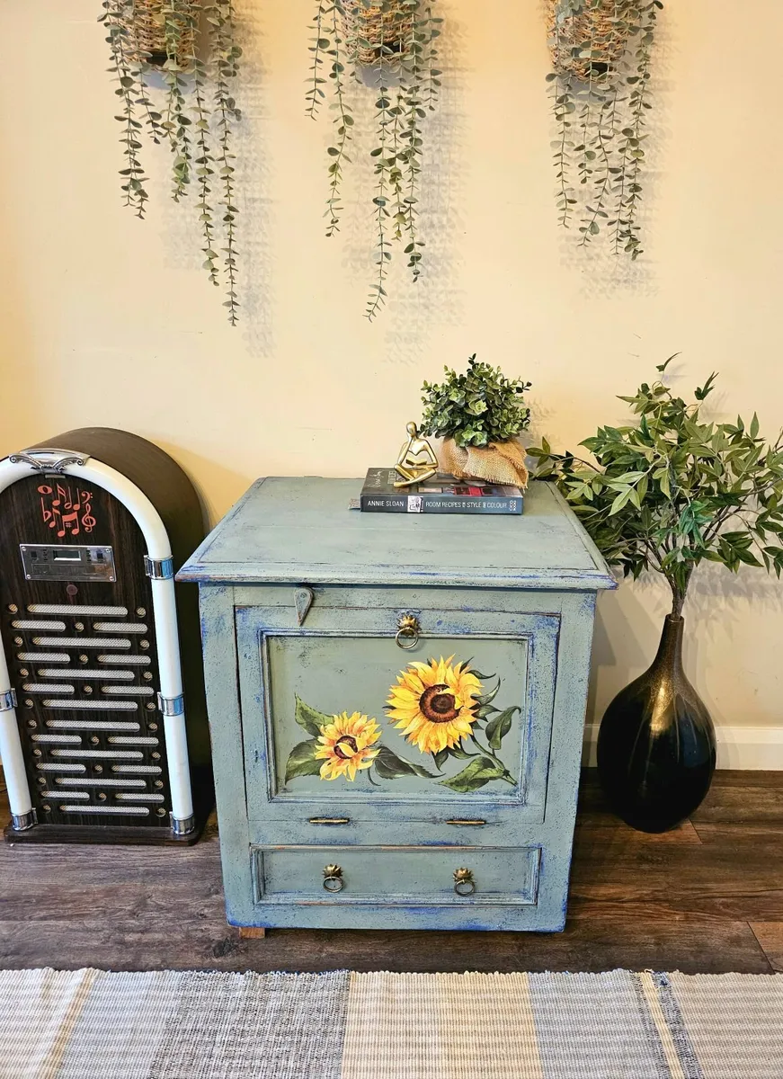 Vintage storage cabinet - Image 1