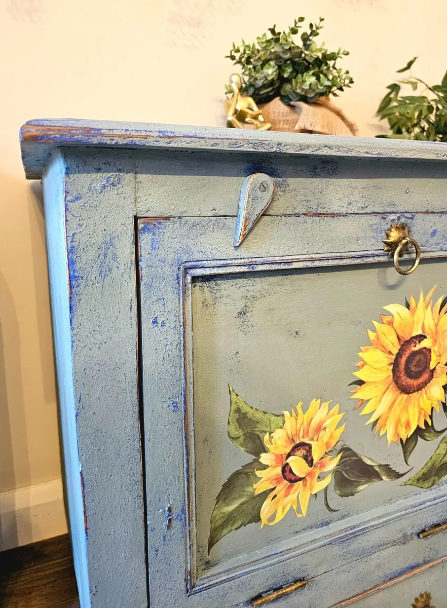 Vintage storage cabinet - Image 3