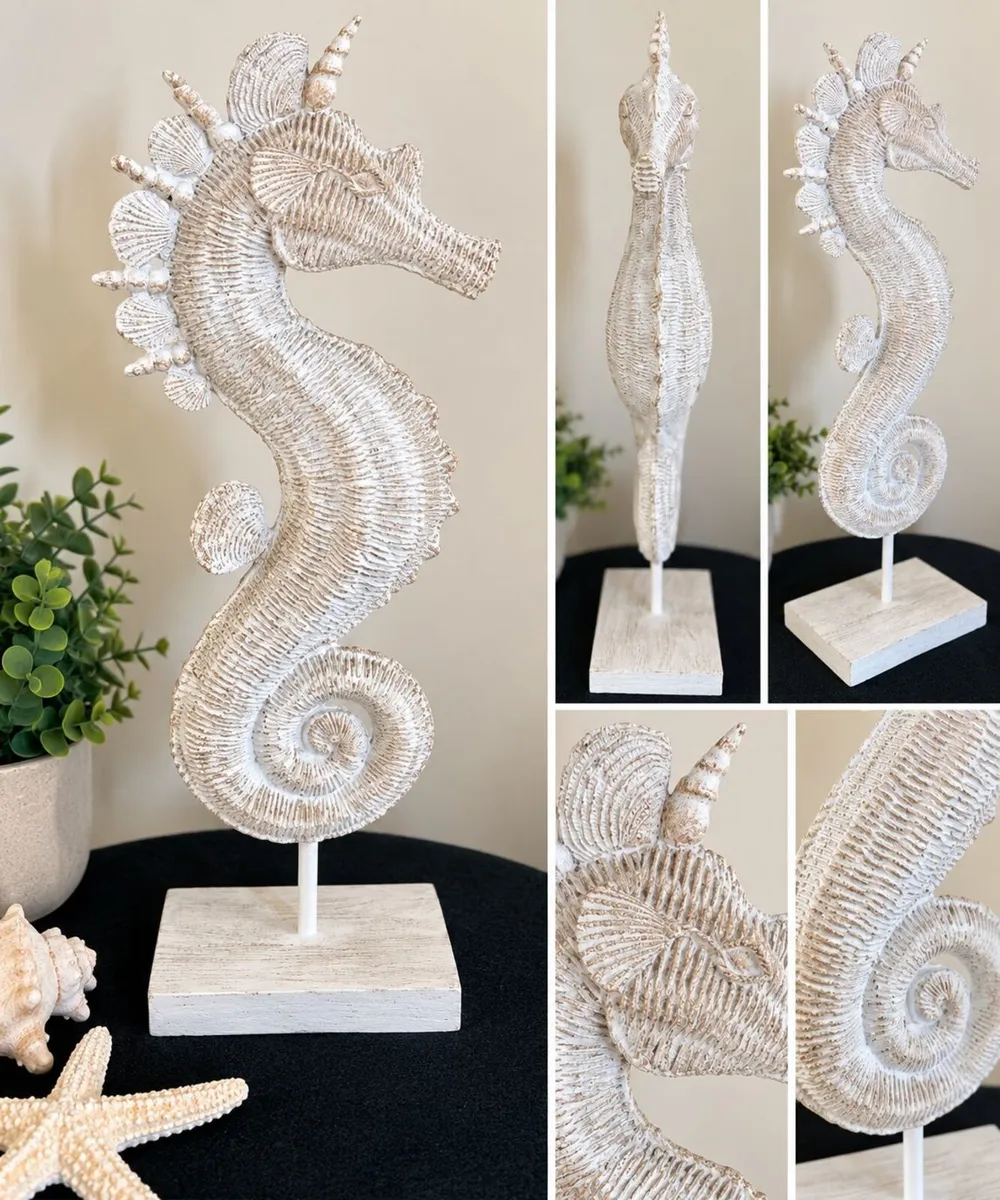 Seahorse interior decoration