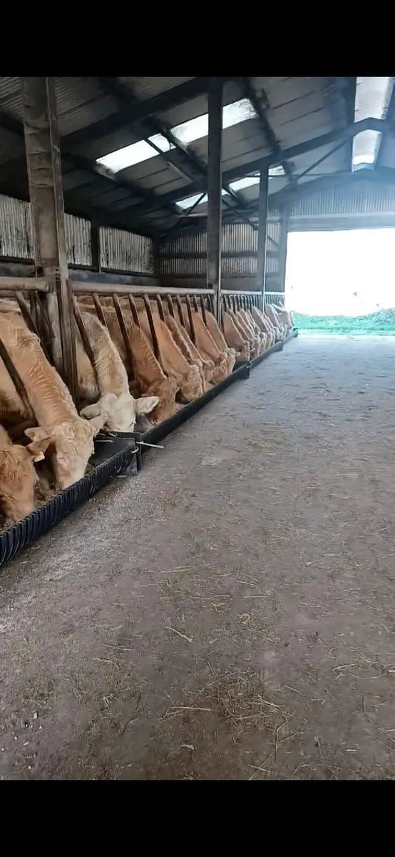 Feed troughs - Image 1