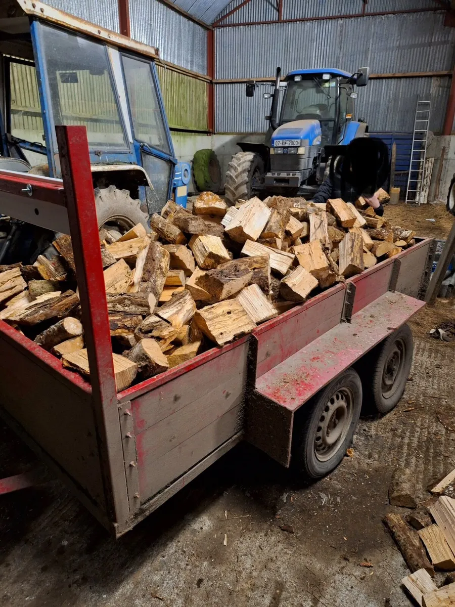 Fire wood/timber - Image 1