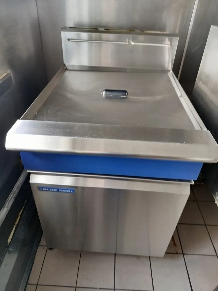 Blue Seal GT60  Fryer single tank - Image 2