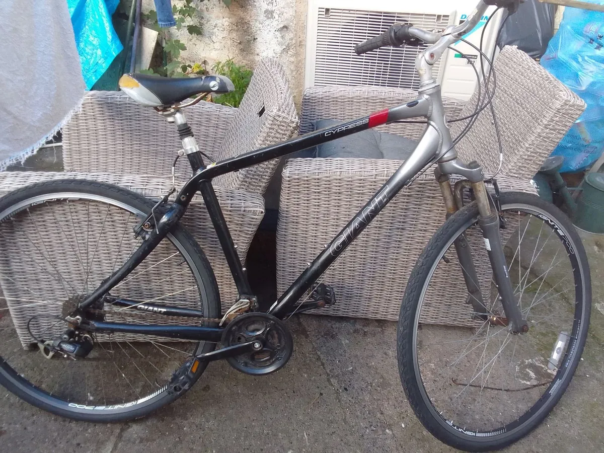 adult bike for sale