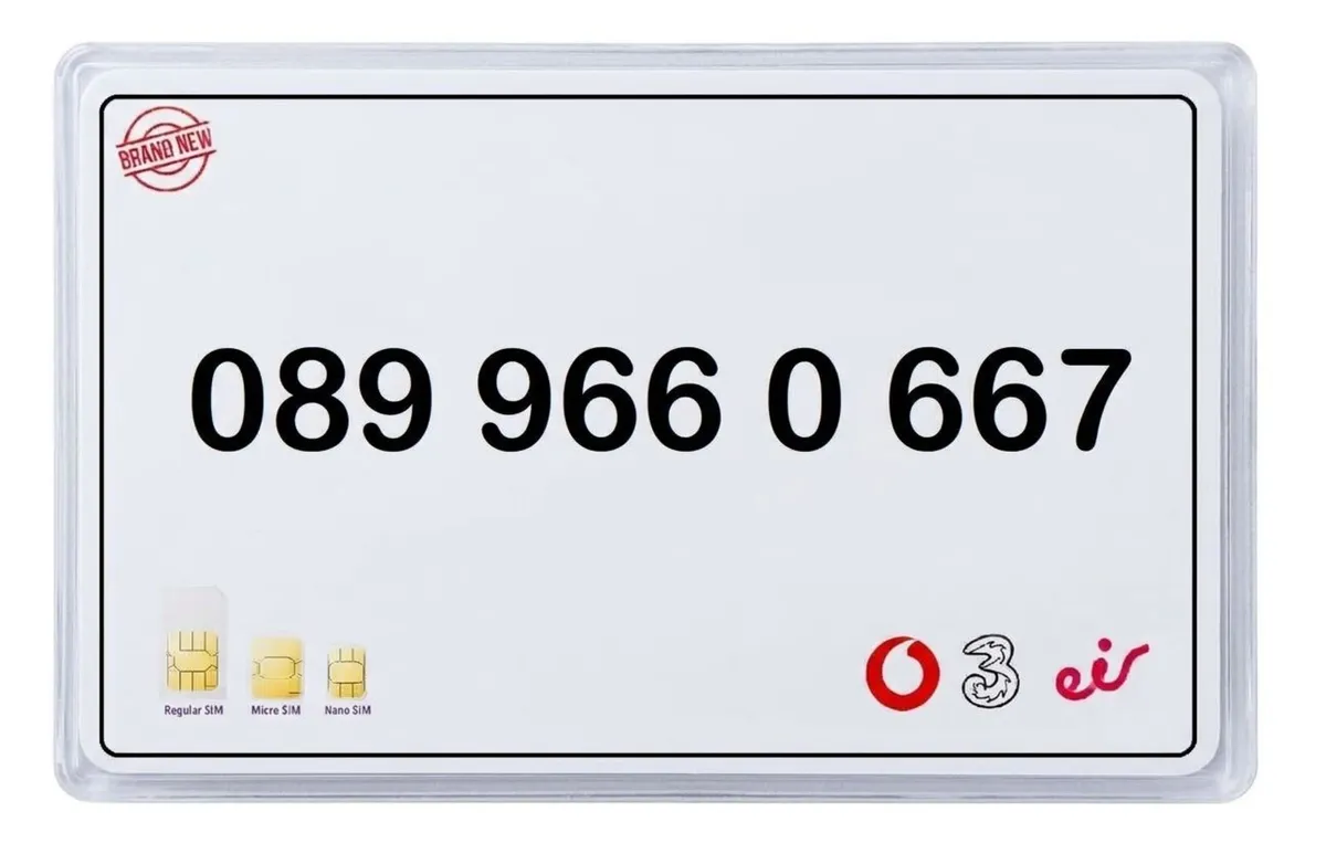 VIP GOLDEN NUMBER Ultra Memorable & Rare 💎 667