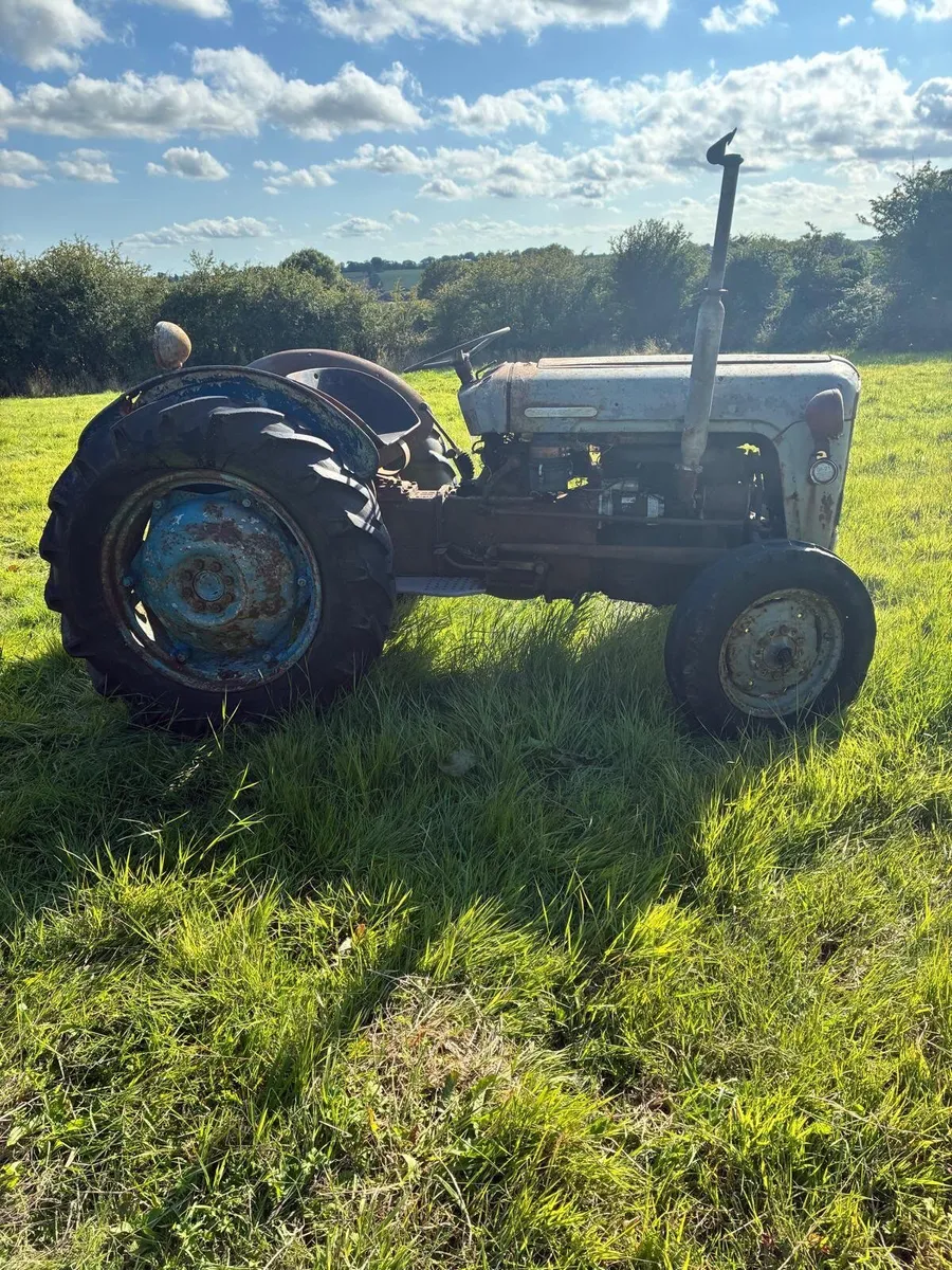 Vintage Tractor FE 35 - Image 1