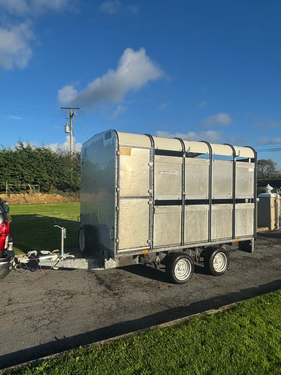 Iforwilliams cattle trailer - Image 1