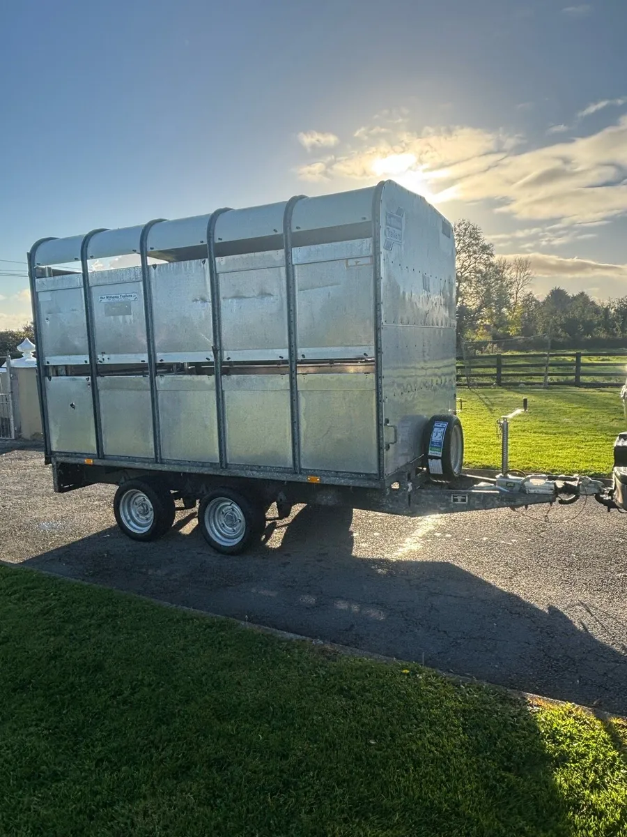 Iforwilliams cattle trailer - Image 2